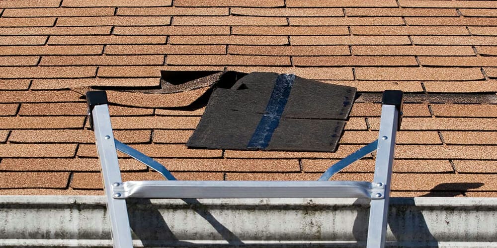 Lifetime Flat Roofs Storm damage repair Seattle